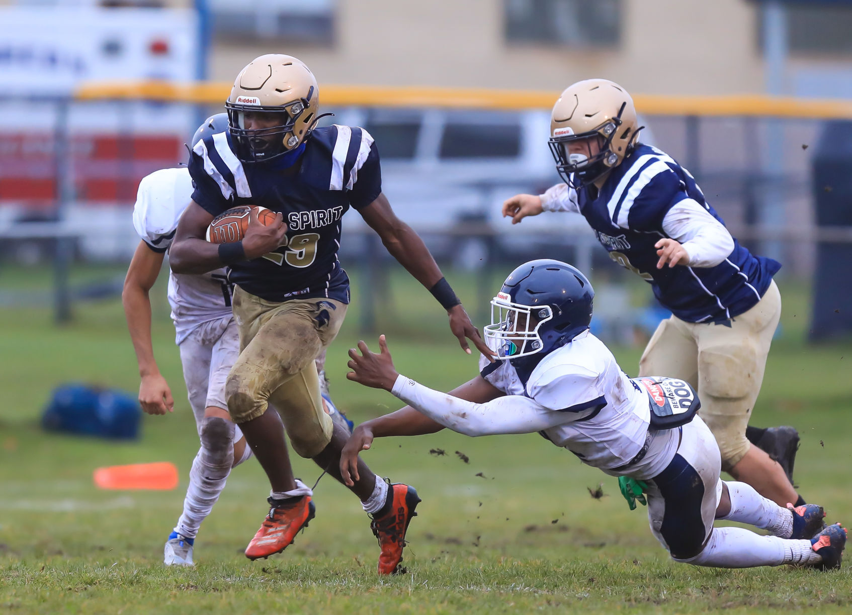 spt_HSFB